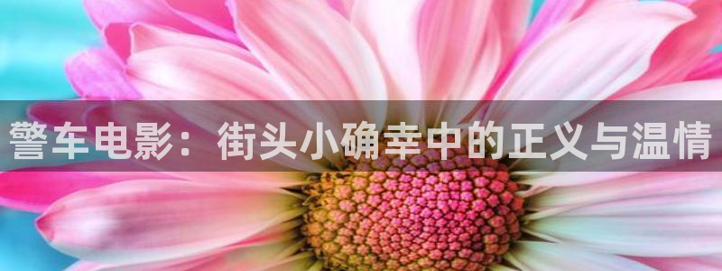 a午夜影院：警车电影：街头小确幸中的正义与温情