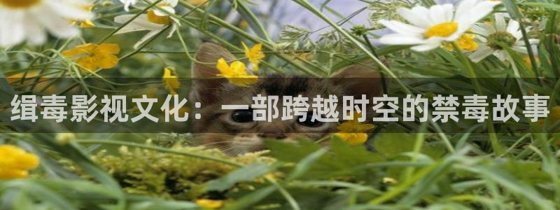 791138774午夜电影：缉毒影视文化：一部跨越时空的禁毒故事
