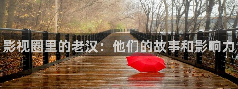 手机在线观看午夜av：影视圈里的老汉：他们的故事和影响力