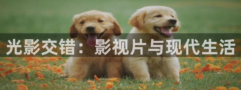 午夜影院在线视频网址