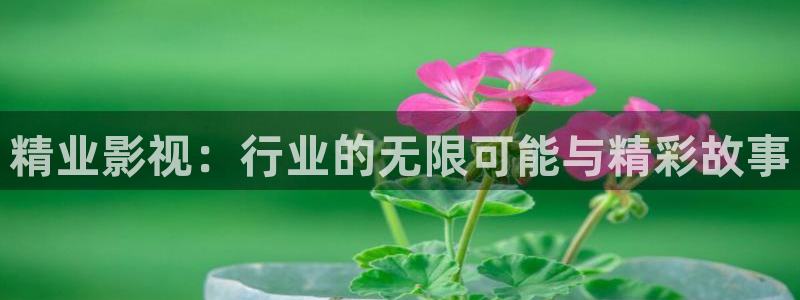 手机午夜电影网：精业影视：行业的无限可能与精彩故事