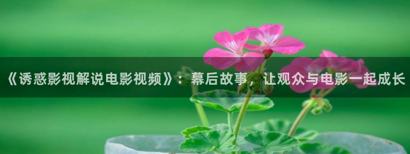 秋霞影院午夜仑片：《诱惑影视解说电影视频》：幕后故事，让观众与电影一起成长