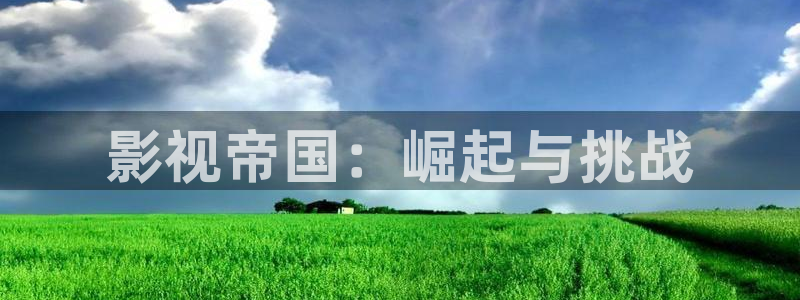 午夜精彩电影：影视帝国：崛起与挑战