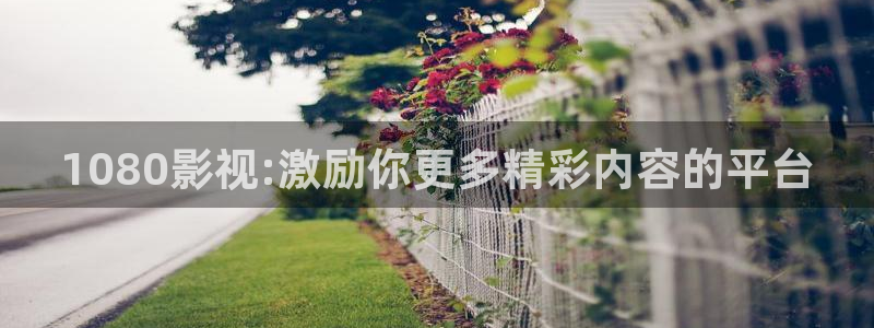 八戒午夜理论片在线观看：1080影视:激励你更多精彩内容的平台