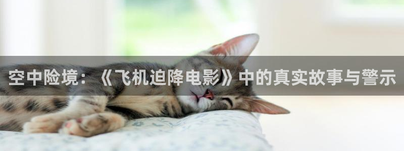 992tv午夜免费在线观看：空中险境：《飞机迫降电影》中的真实故事与警示