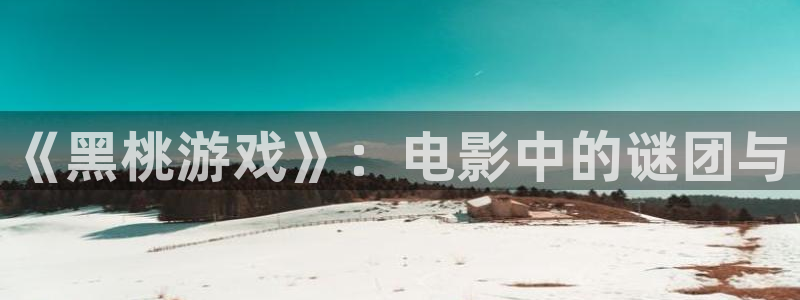 久久午夜桃子影院：《黑桃游戏》：电影中的谜团与