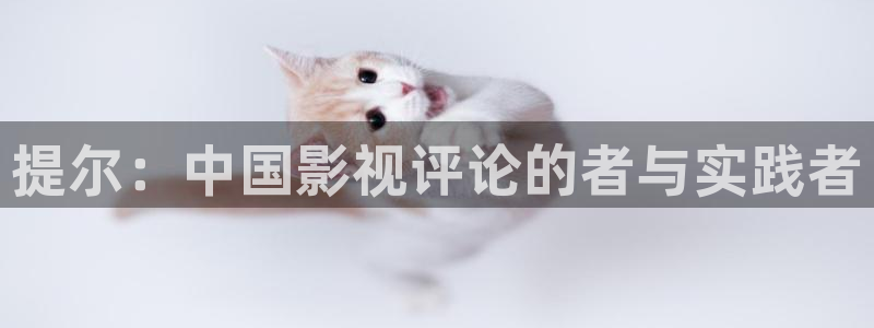 动漫午夜电影：提尔：中国影视评论的者与实践者