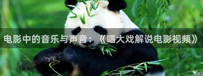 成年人午夜看视频：电影中的音乐与声音：《唱大戏解说电影视频》
