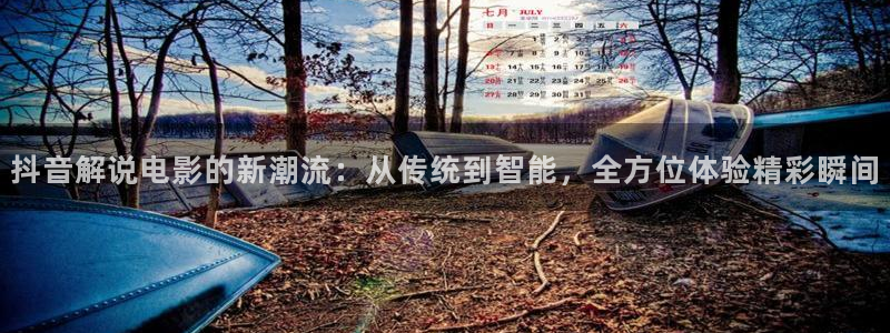 午夜片电影一区：抖音解说电影的新潮流：从传统到智能，全方位体验精彩瞬间