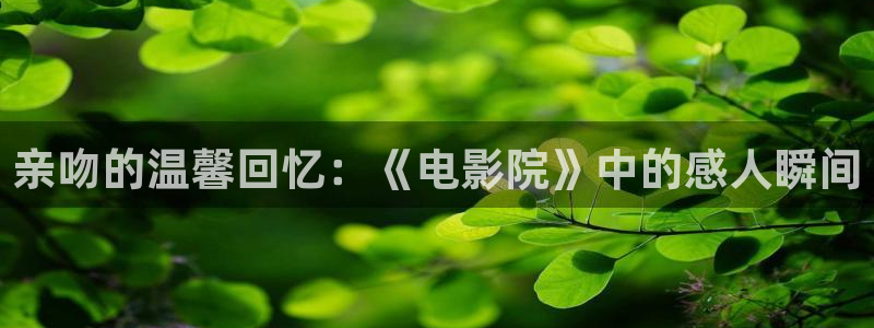 丁香午夜影院：亲吻的温馨回忆：《电影院》中的感人瞬间