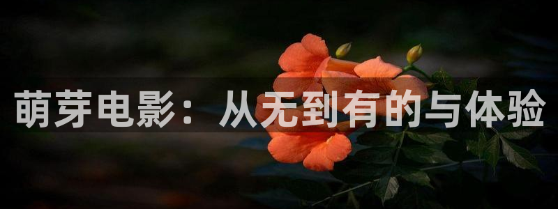 未来影院午夜：萌芽电影：从无到有的与体验