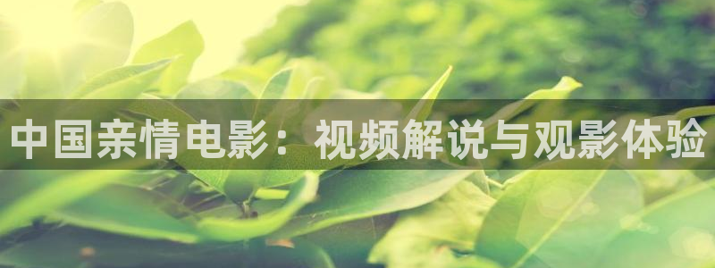 dy888影院午夜理伦片