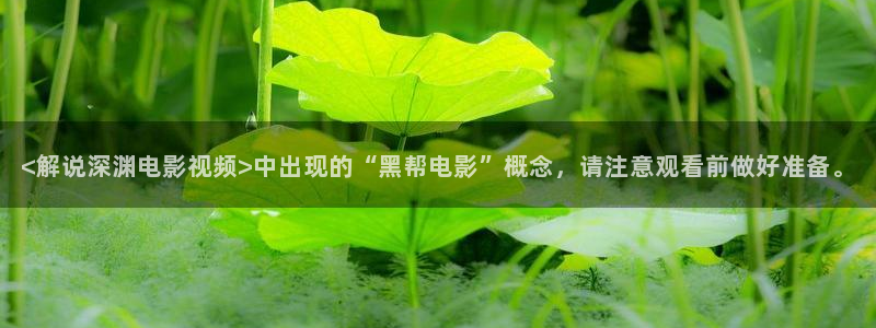 男人的午夜天堂在线观看：<解说深渊电影视频>中出现的“黑帮电影”概念，请注意观看前做好准备。