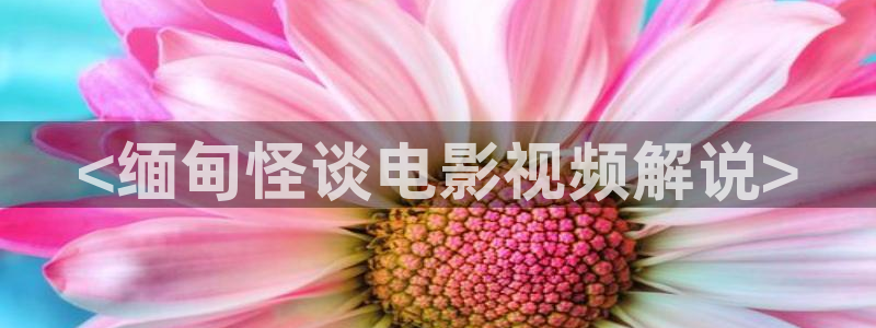 午夜高清免费在线：<缅甸怪谈电影视频解说>