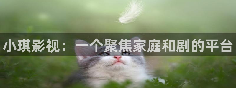 午夜影院免费的：小琪影视：一个聚焦家庭和剧的平台