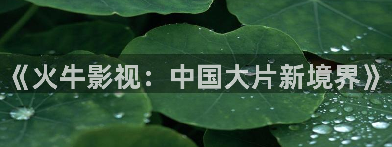 国产午夜伦理片：《火牛影视：中国大片新境界》