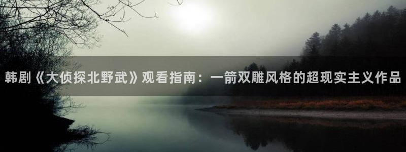 午夜伦理影院网：韩剧《大侦探北野武》观看指南：一箭双雕风格的超现实主义作品