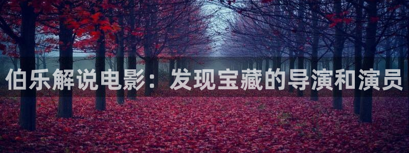 成人午夜网站免费观看：伯乐解说电影：发现宝藏的导演和演员