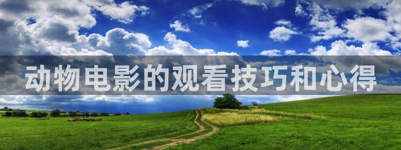 成人午夜在线免费网站：动物电影的观看技巧和心得