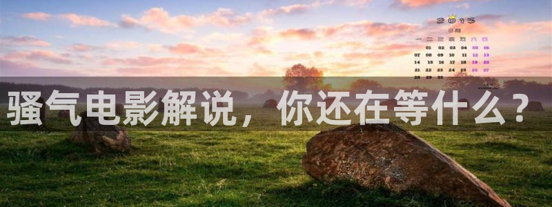 gogo午夜高清av：骚气电影解说，你还在等什么？