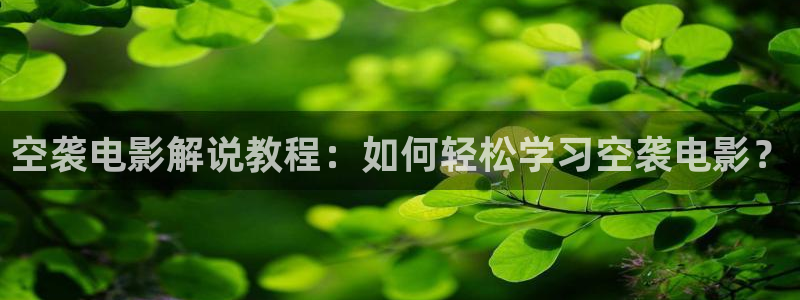 午夜大毛片：空袭电影解说教程：如何轻松学习空袭电影？