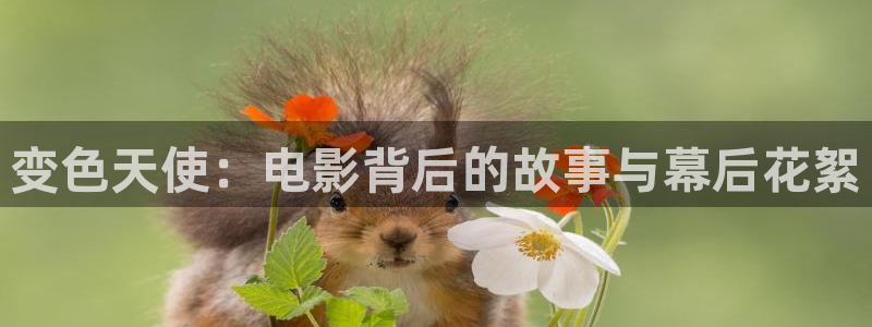 午夜看片 在线：变色天使：电影背后的故事与幕后花絮