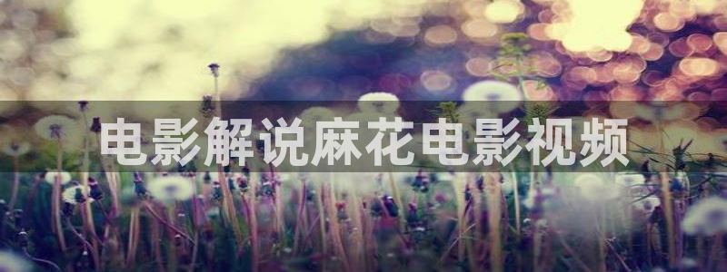 91精品午夜窝窝看片：电影解说麻花电影视频