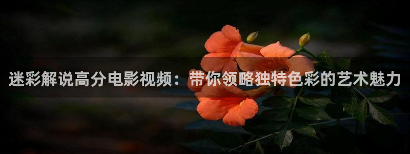 欧美午夜国产在线观看：迷彩解说高分电影视频：带你领略独特色彩的艺术魅力