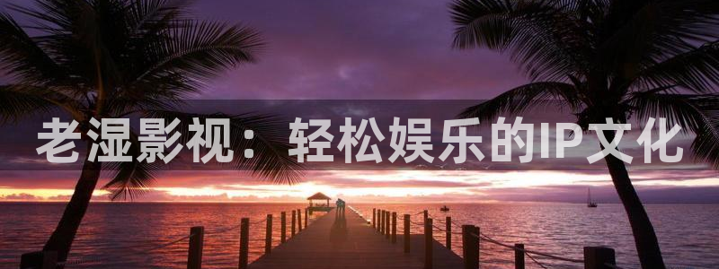 成人午夜免费福利影院：老湿影视：轻松娱乐的IP文化