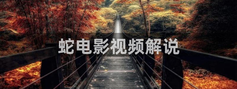 秋霞神马午夜伦理：蛇电影视频解说