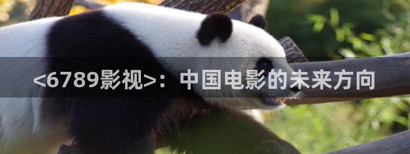 电影午夜0时的吻：<6789影视>：中国电影的未来方向
