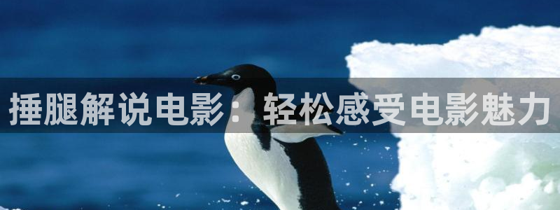 午夜av电影网站：捶腿解说电影：轻松感受电影魅力