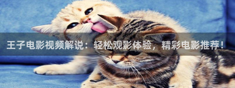 午夜夫妻视频在线观看：王子电影视频解说：轻松观影体验，精彩电影推荐！