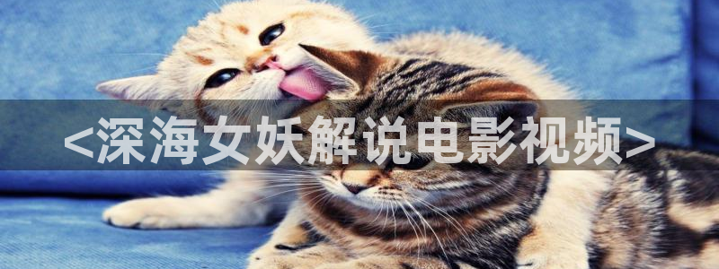 午夜光棍剧场：<深海女妖解说电影视频>