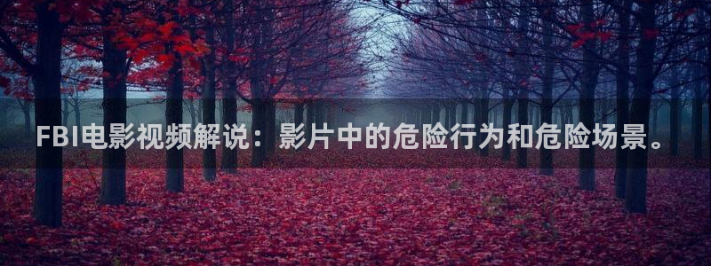 电影午夜男女爽爽在线观看：FBI电影视频解说：影片中的危险行为和危险场景。