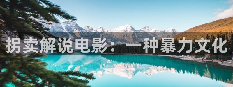 大陆午夜片：拐卖解说电影：一种暴力文化