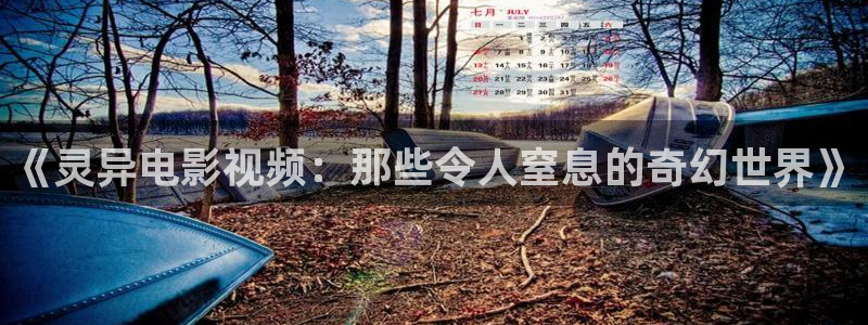 午夜高清电影在线观看：《灵异电影视频：那些令人窒息的奇幻世界》