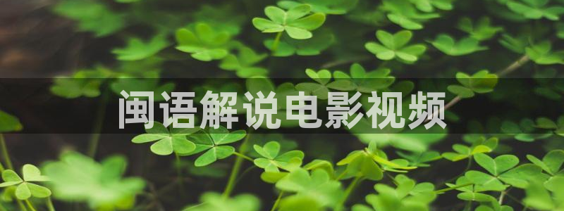 神马影院dy888午夜电影通：闽语解说电影视频