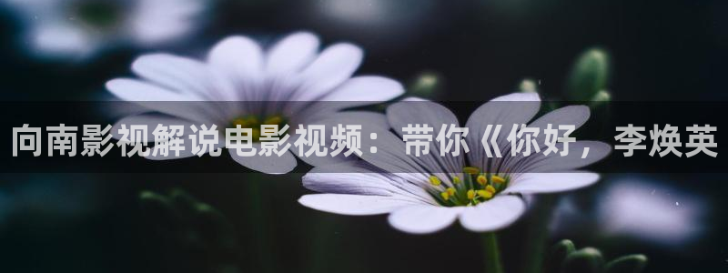 午夜废墟电影免费看