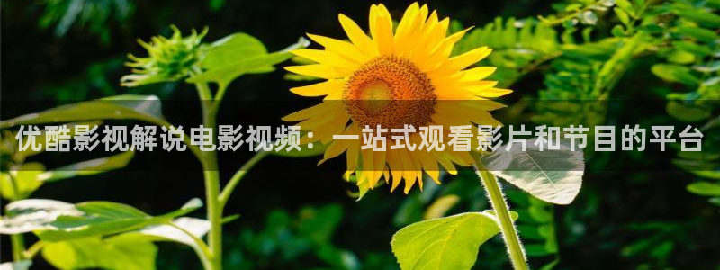 韩国 电影 午夜：优酷影视解说电影视频：一站式观看影片和节目的平台