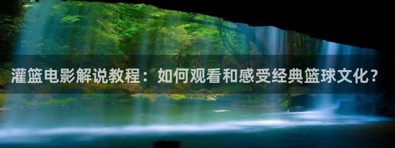 午夜电影在线播放一区二区三区四区