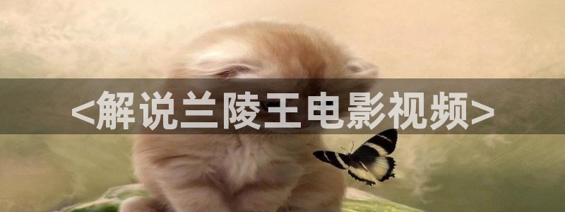 神马电影院 午夜