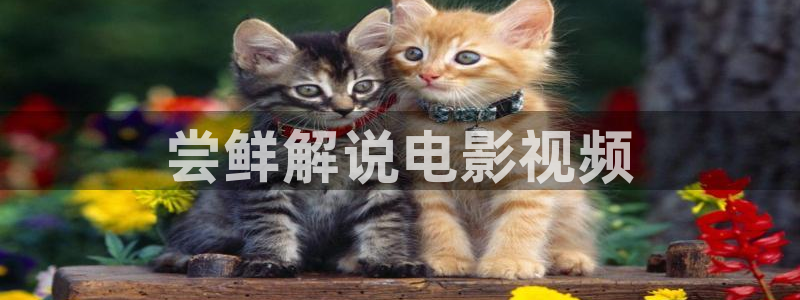 西瓜影院在线午夜理论