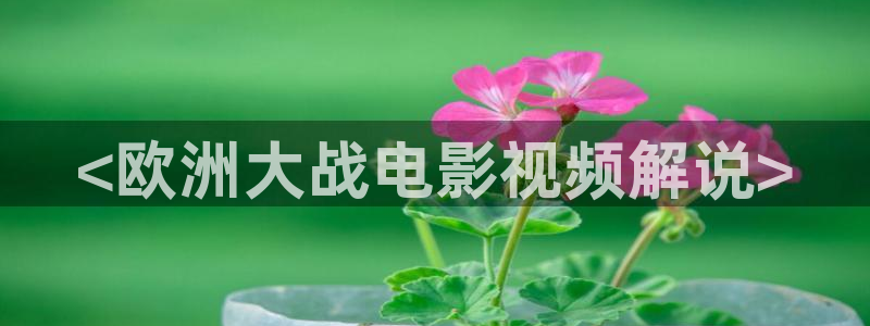 午夜爽爽爽爽在线观看视频