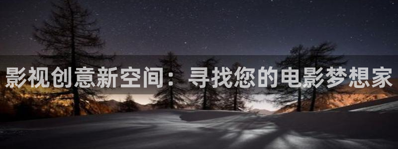 老子影院午夜理伦手机不卡