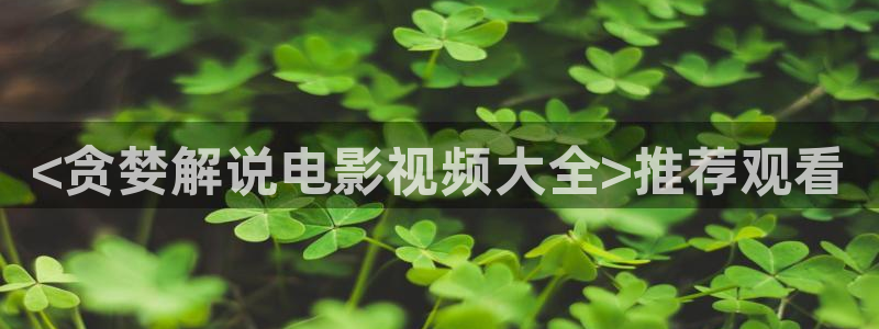 日韩在线电影午夜