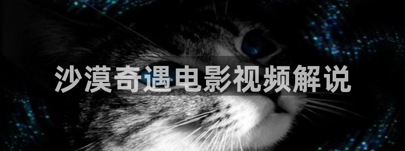 8090午夜电影