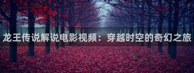 老司机午夜在线播放