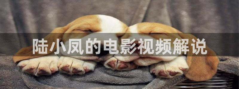午夜爱爱av
