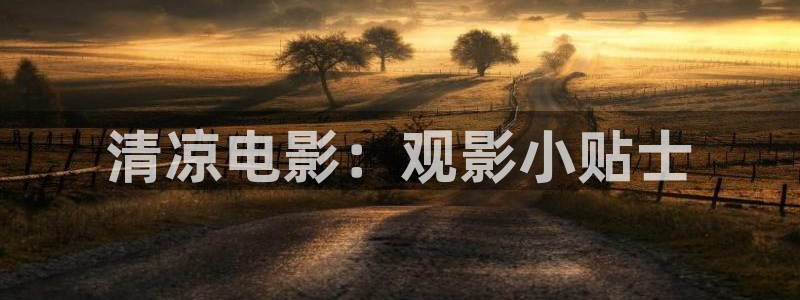 窝窝午夜看片视频